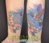 Hummingbird added to Flowers I did before
